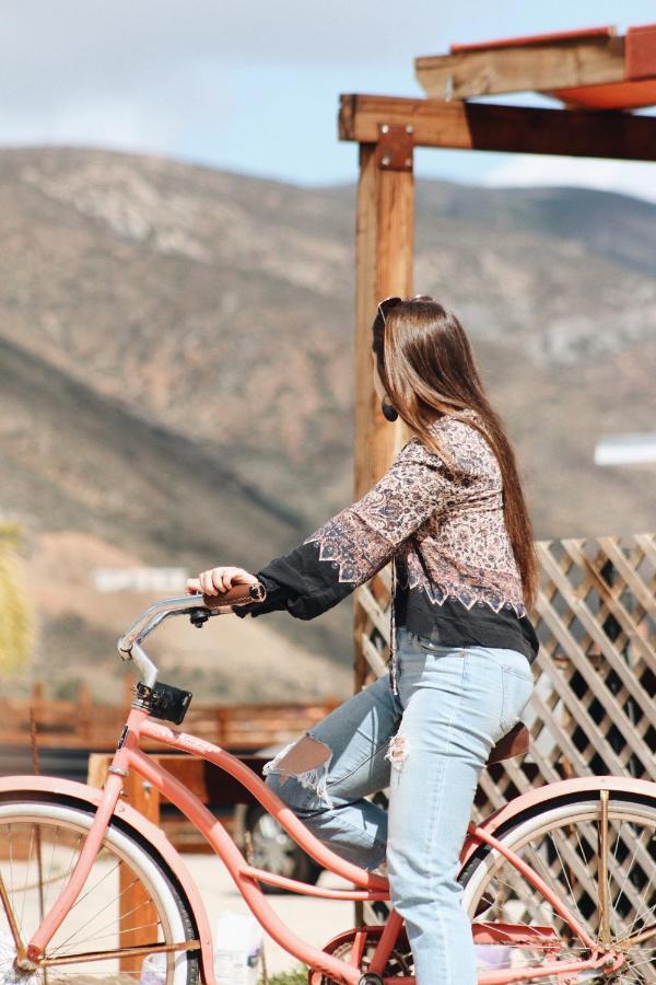 Quintas Marlet En La Ruta Del Vino Ensenada Exteriér fotografie